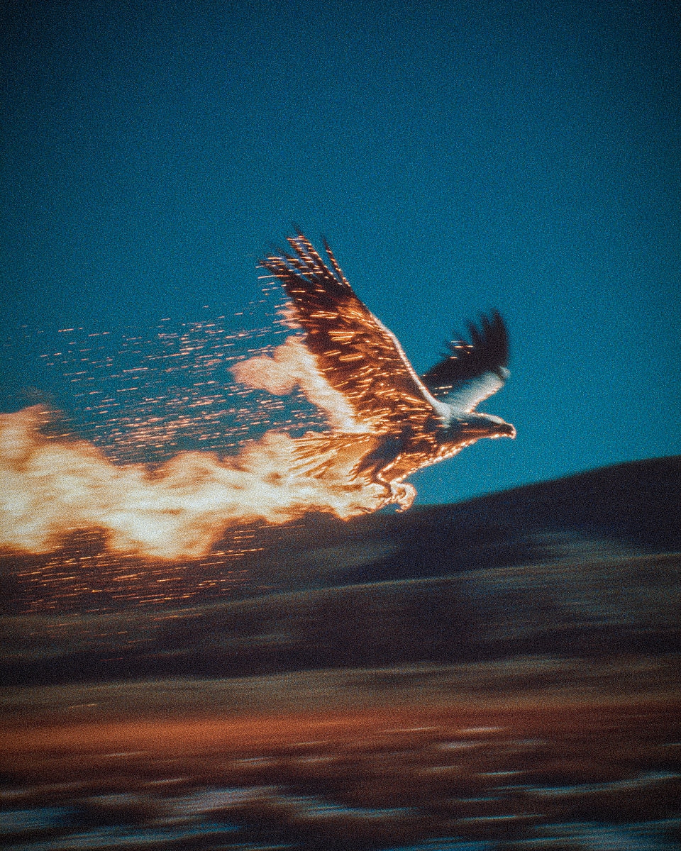 EAGLE 1