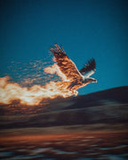 EAGLE 1