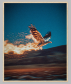 EAGLE 1