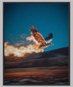 EAGLE 1
