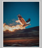 EAGLE 1